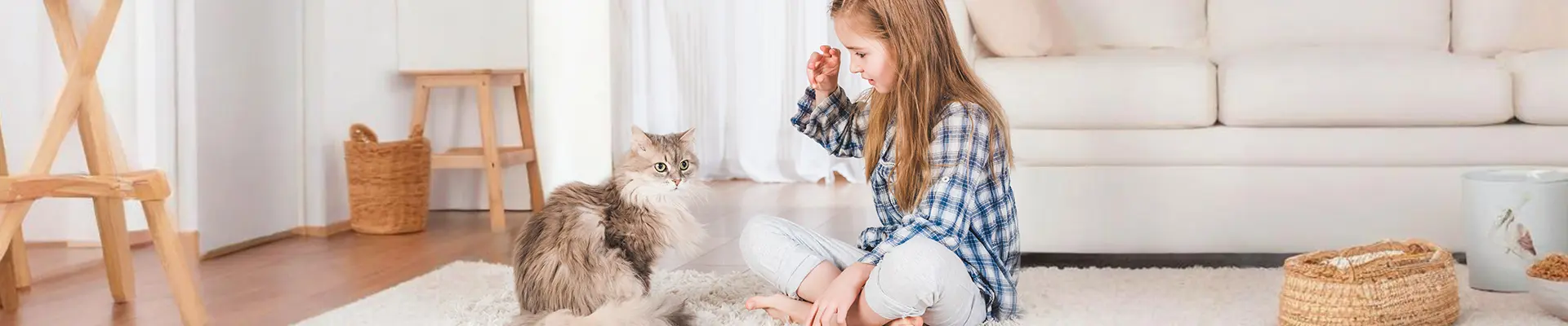 transdermal nutrition patch