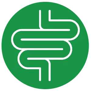 Support normal digestion, bowel movement and immune functon for pets