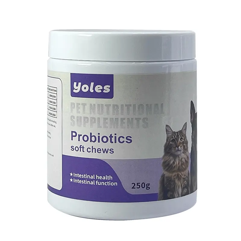 Natural Probiotics Soft Chew Dog Food Snack Pet Intestinal Supplement
